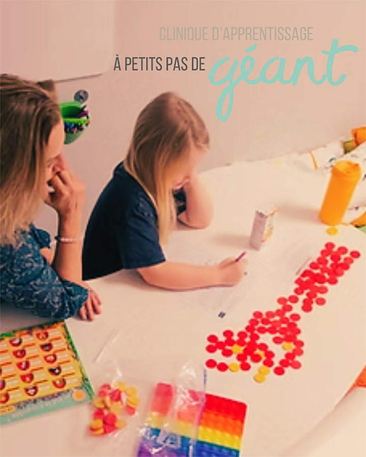 Offre camp d'été 2026